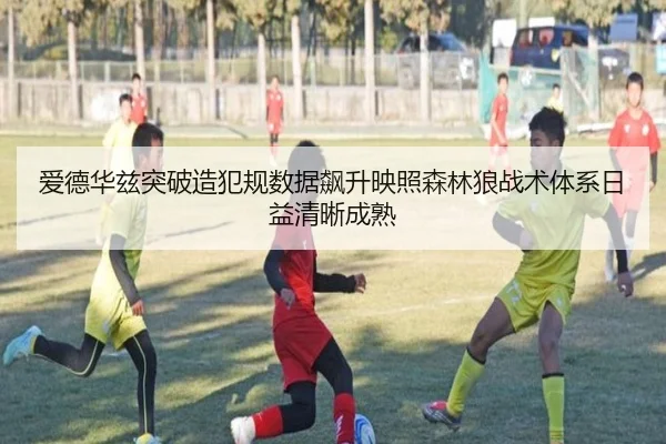 爱德华兹突破造犯规数据飙升映照森林狼战术体系日益清晰成熟